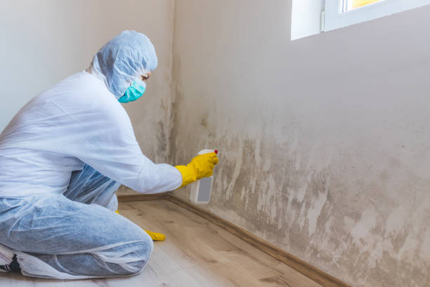 Hvac And Air Duct Mold Remediation inspection of HVAC system in Warminster